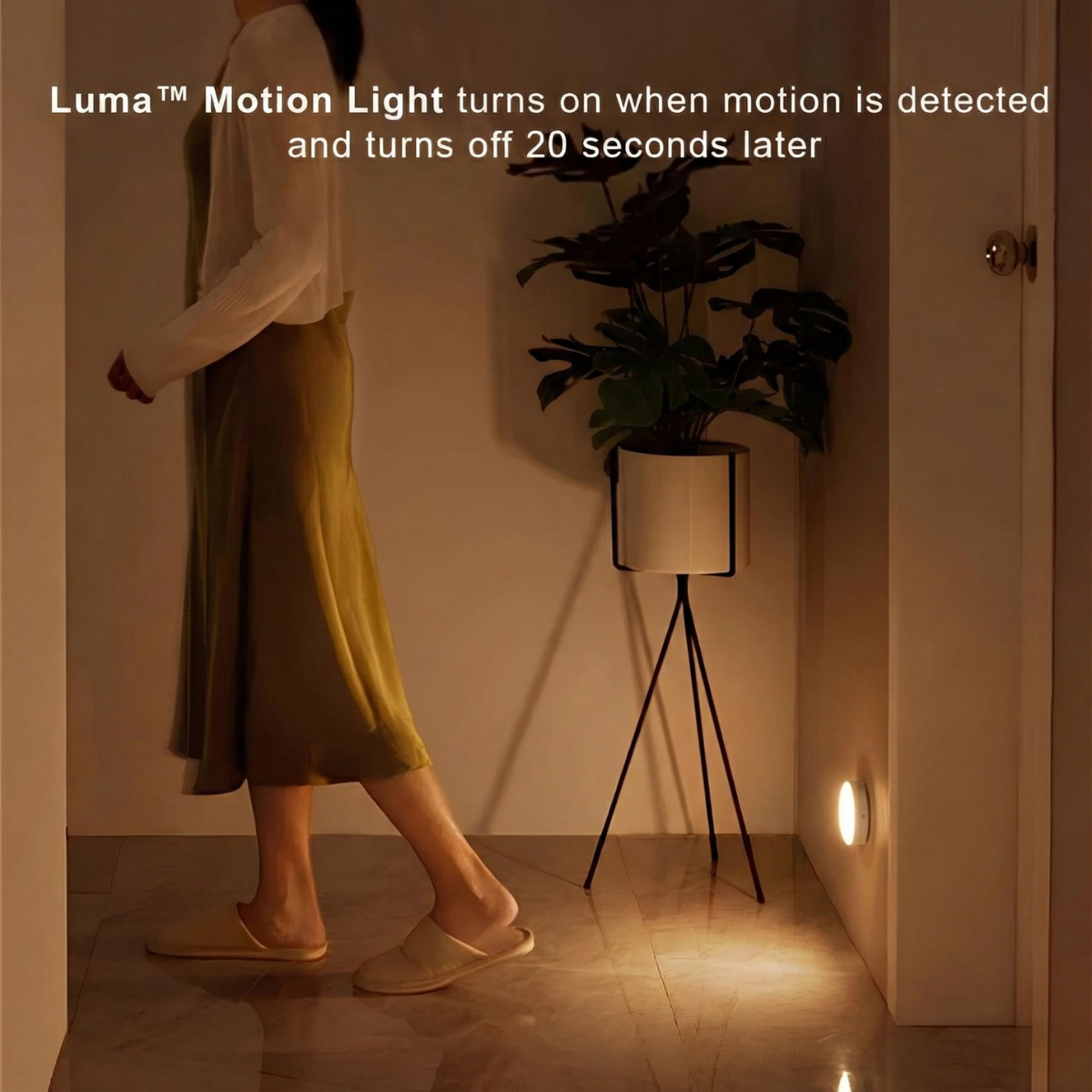 Luma Motion Light