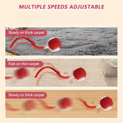 TurboTail Motion Ball