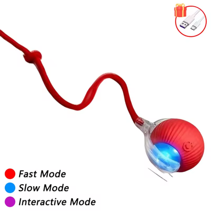 TurboTail Motion Ball