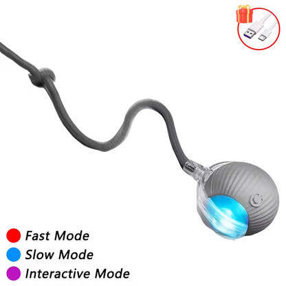 TurboTail Motion Ball