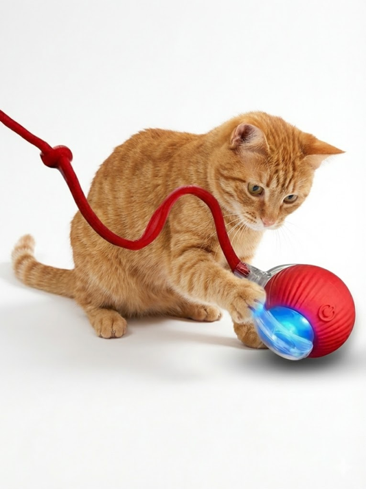 TurboTail Motion Ball